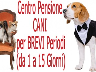 CENTRO PENSIONE E ACCUDIMENTO CANI PER PERIODI BREVI