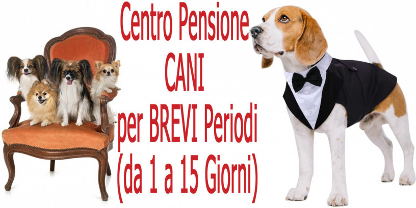 centro-pensione-e-accudimento-cani-in-aperta-campagna-per-periodi-brevi-big-0
