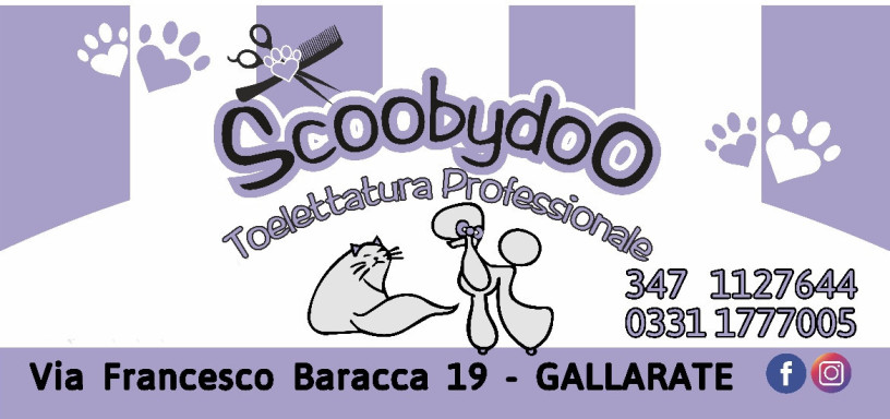 scoobydoo-toelettatura-professionale-big-0