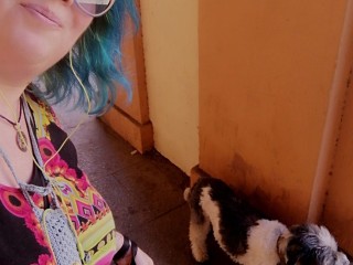 Martina Cat Sitter & Dog Walker a Bologna