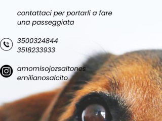 Passaggio di cane