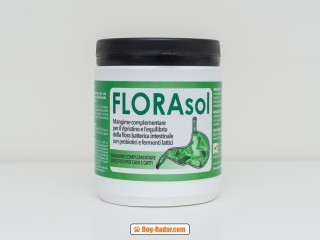 FLORASOL - Complemento Alimentare Per La Migliorare E Favorire Lo Sviluppo Della Flora Batterica Intestinale