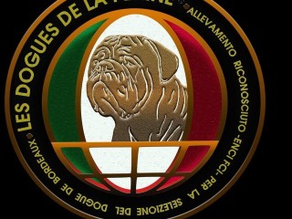 Les dogues de la plaine kennel per seleziona dogue de bordeaux e bulldog francese