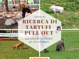 Addestramento Ricerca Tartufi