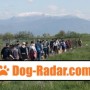 addestramento-cani-lupi-grigi-cinofili-da-soccorso-asd-small-1