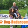 addestramento-cani-lupi-grigi-cinofili-da-soccorso-asd-small-5