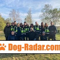 addestramento-cani-lupi-grigi-cinofili-da-soccorso-asd-big-2