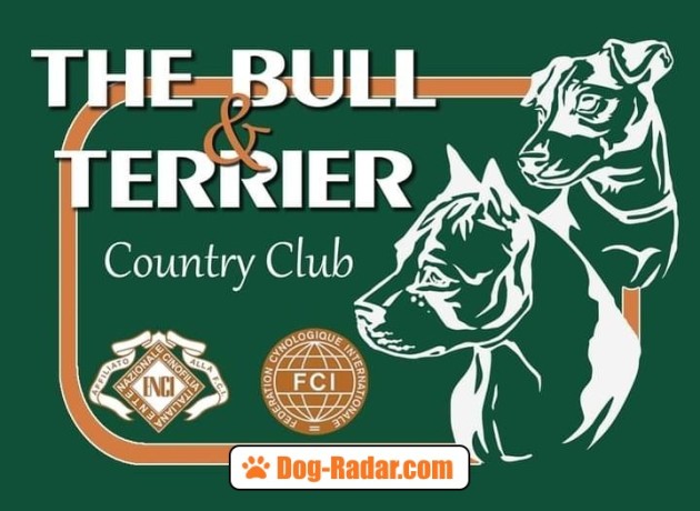 the-bull-terrier-country-club-big-0