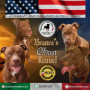 brancas-ghost-kennel-american-pitbull-terrier-ukc-small-0