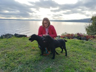 Labrador Macchia Grande