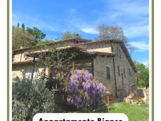 AGRITURISMO MONTESALCE