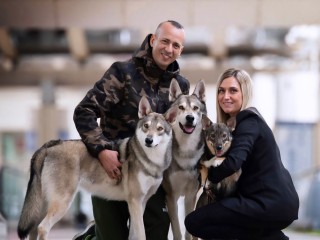 Urban Wolf Kennel