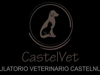 CastelVet Ambulatorio Veterinario Castelnuovo