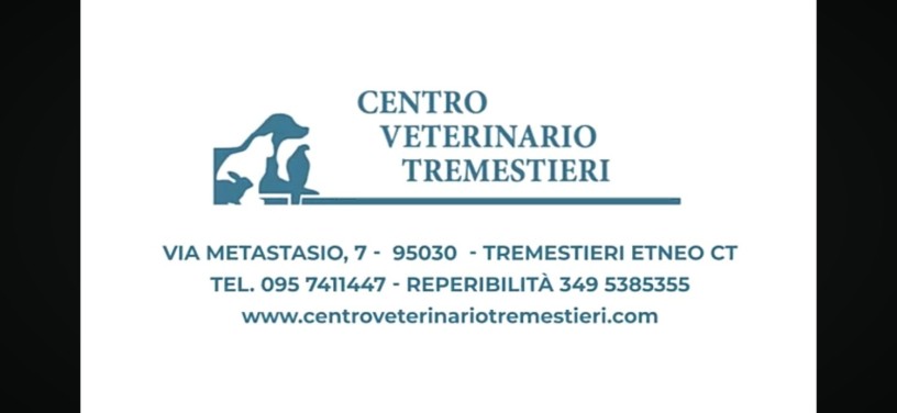 centro-veterinario-tremestieri-big-1
