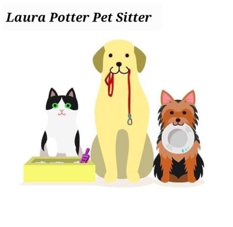 pet-sitter-laura-potter-como-big-2