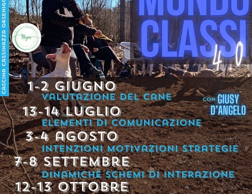 MONDO CLASSI 4.0 con Giusy DAngelo