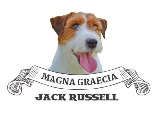 Allevamento e Selezione del Jack Russell Terrier