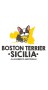 boston-terrier-sicilia-small-0
