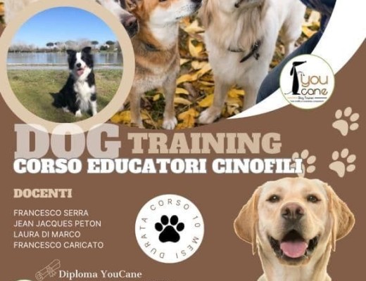 Dog Trainer e Corsi di Formazione