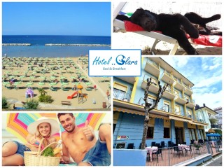 In vacanza con Doggy all'Hotel Clara Rimini