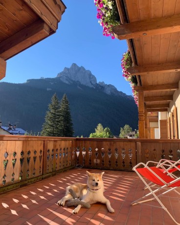 alpine-touring-hotel-petfriendly-big-0