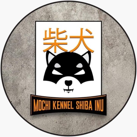 mochi-kennel-shiba-inu-big-0