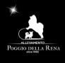 all-to-poggio-della-rena-small-0