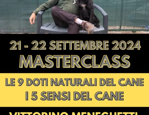 I 5 SENSI DEL CANE LE 9 DOTI NATURALI DEL CANE MASTERCLASS - VITTORINO MENEGHETTI