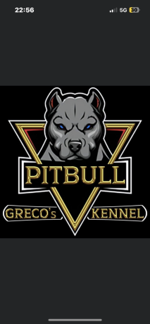 grecos-kennel-big-0