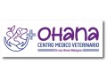 ohana-centro-medico-veterinario-small-0