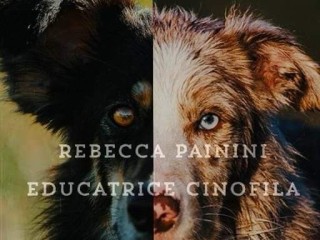 Rebecca Painini educatrice cinofila