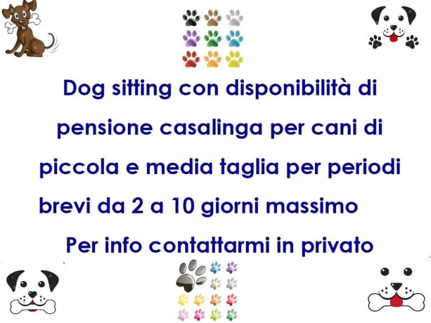 pensione-casalinga-a-roma-big-0